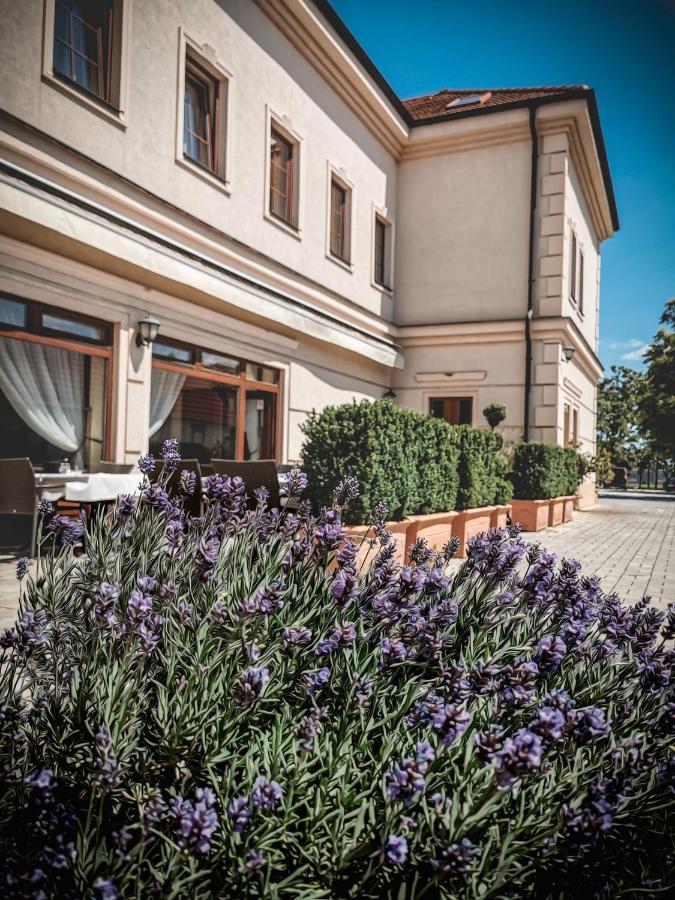 Restaurant Pansion Wien Cierny Brod Εξωτερικό φωτογραφία