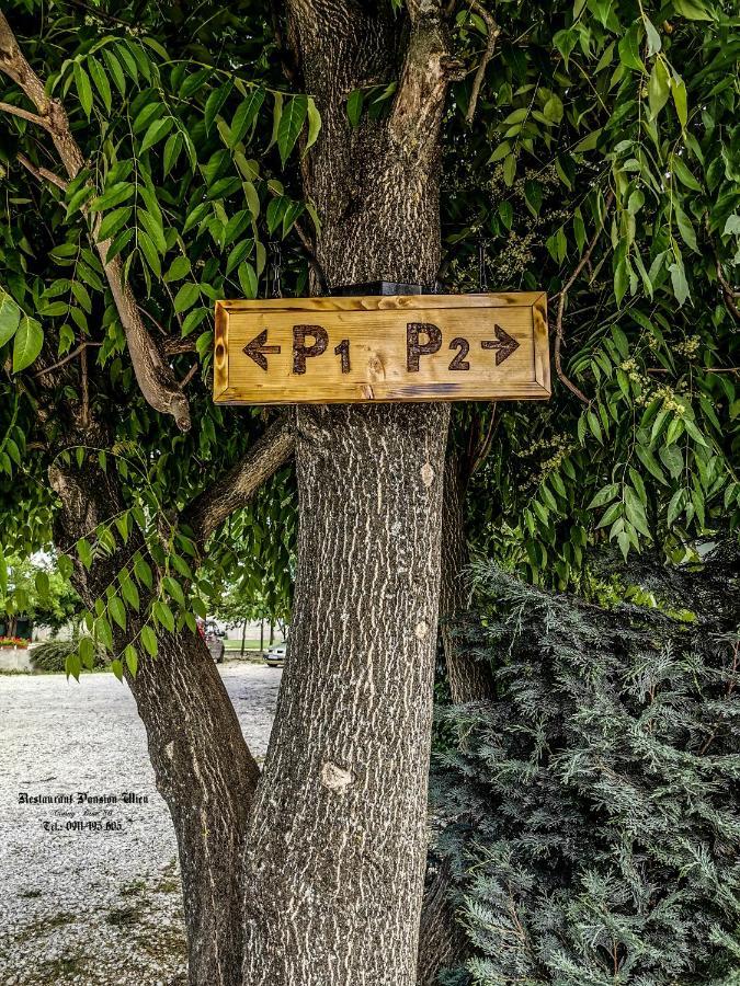 Restaurant Pansion Wien Cierny Brod Εξωτερικό φωτογραφία