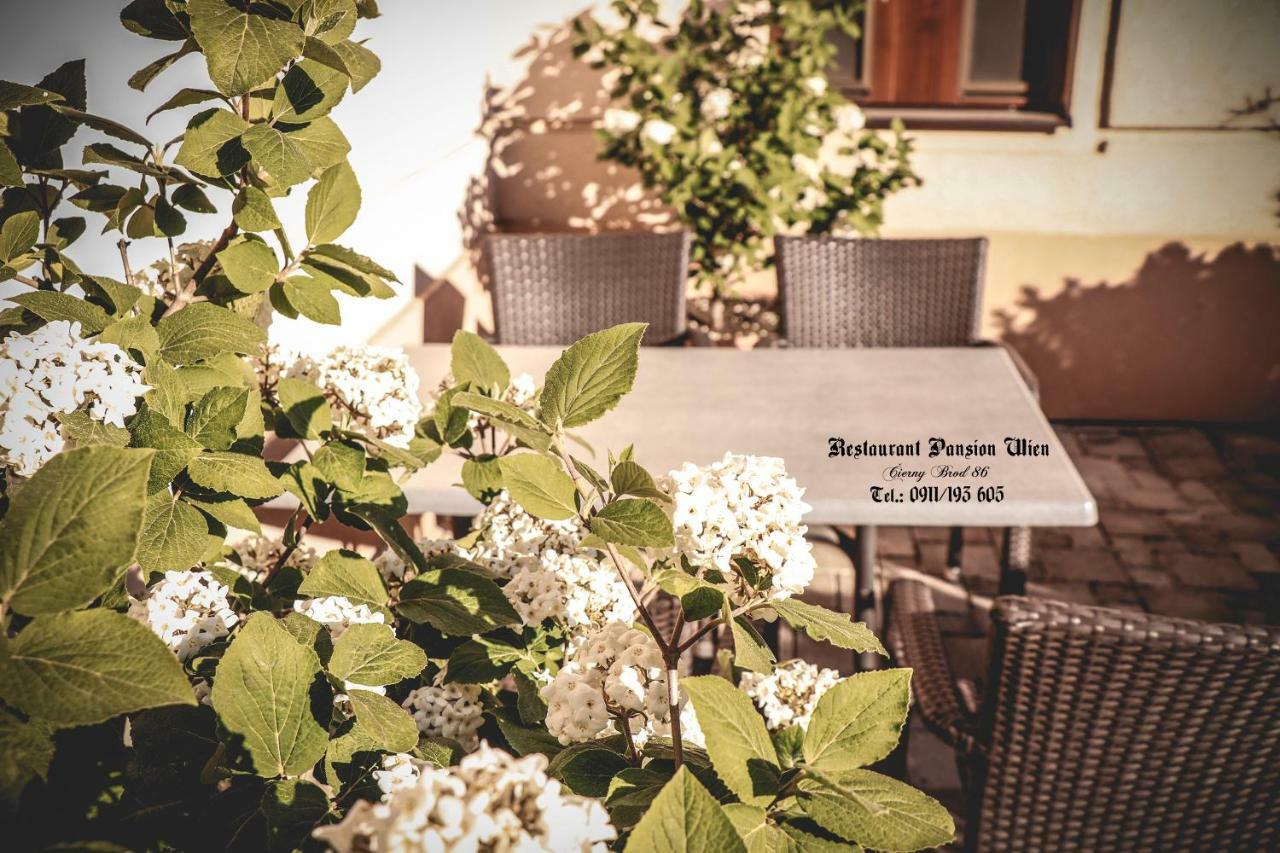 Restaurant Pansion Wien Cierny Brod Εξωτερικό φωτογραφία